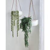 Botanicartisan Cm Hanging Faux Spring Fern Temple Webster