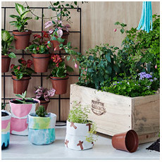 Plant Pots & Stands