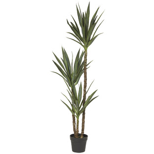 155cm Potted Faux Dracaena Tree 