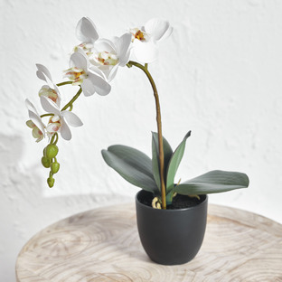 35cm Potted Faux White Orchid Flower 