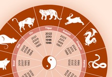 How to decorate for your Chinese Zodiac animal