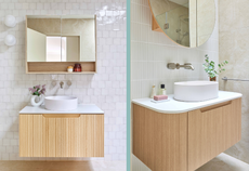Transforming Two Bathrooms into Livable Retreats