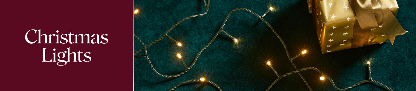 Shop Temple & Webster christmas lights