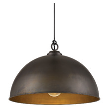 Cassidy Metal Pendant Light