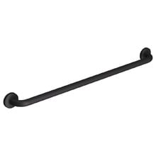 Accessible 900mm Stainless Steel Grab Rail