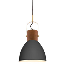 Ruston Iron Pendant Light