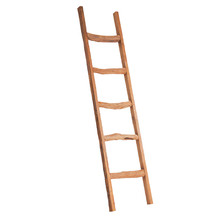 Driftwood Decorative Ladder