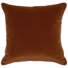 Valencia Velvet Cushion