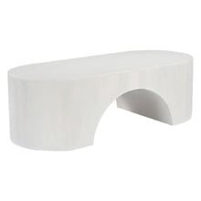 Albany Oval Mango Wood Coffee Table