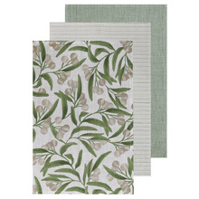 3 Piece Lilly Pilly Cotton Tea Towel Set