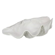 Clam Shell Decorative Bowl