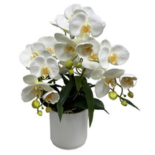 50cm Alba Potted Faux Orchid Plant