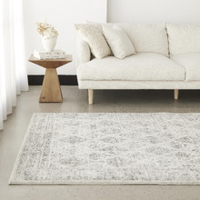 Cream & Grey Transitional Distressed Rug