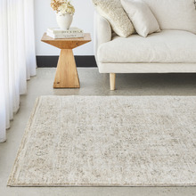 Yeager Traditional Rug