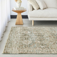 Curtiss Traditional Rug