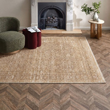 Clay Estate Vintage-Look Rug