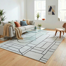 Asher Contemporary Rug