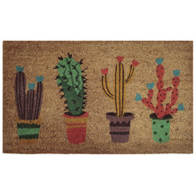 Cactus PVC Backed Coconut Coir Doormat
