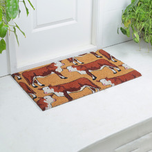 Brown Remi Cow Coir Doormat