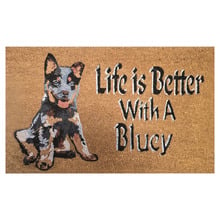 Bluey Coir Doormat