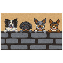 Paws & Bricks Coir Doormat