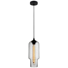 Zucca Glass Pendant Light