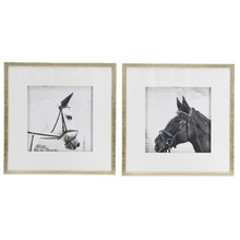 Horse Framed Printed Wall Art Diptych