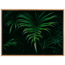 Hiding in the Shadows Plant Canvas Wall Art
