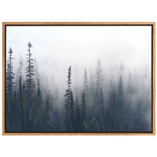 Enveloped Forest Canvas Wall Art