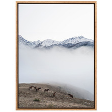 Horse Separation Canvas Wall Art
