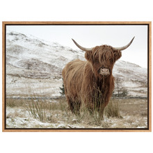 Great Hair Don't Care Yak Canvas Wall Art