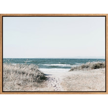 Footprints Canvas Wall Art