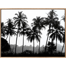 Palm Silhouette Canvas Wall Art