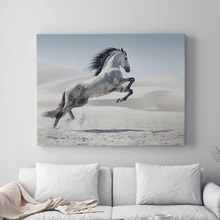 Running Leap Horse Canvas Print