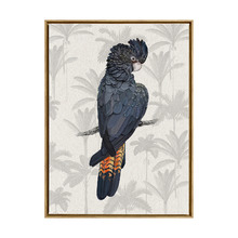 Tropical Cockatoo Framed Canvas Wall Art