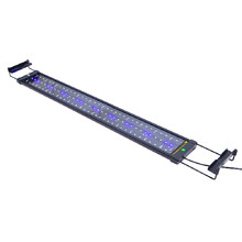 Blue White Dynamic Power 95cm 2835 LED Aquarium Light