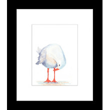 Seagull Watercolour Three of Three Framed Print