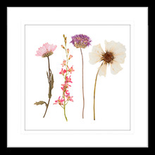 Spring WIldflowers II Framed Print