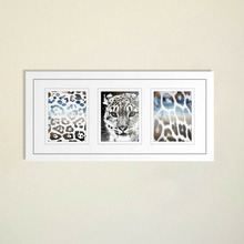Toto Safari Series Two Framed Trio Print