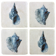 4 Piece Shell Coaster Set