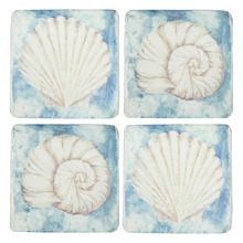 4 Piece Spe-Shell Coaster Set