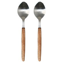 Leiv Stainless Steel Dinner Spoons (Set of 2)