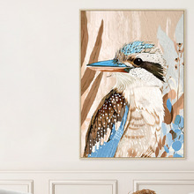 Kooka-Who Framed Canvas Wall Art