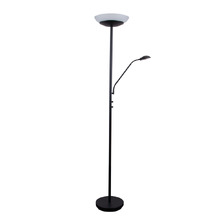Michi Steel 2 Light Floor Lamp