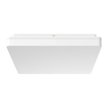 White Jairus Square Tri-Coloured Oyster Light