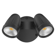 Hailee 2 Light Outdoor Wall Spotlight