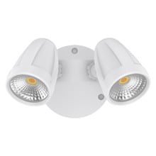 Hailee 2 Light Outdoor Wall Spotlight