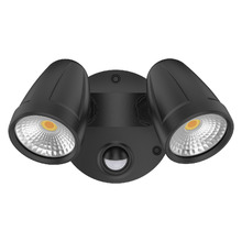 Hailee 2 Light Security Light