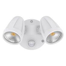Hailee 2 Light Security Light