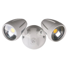 Neriah 2 Light LED Security Light
